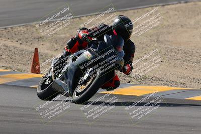 media/Nov-05-2022-SoCal Trackdays (Sat) [[f8d9b725ab]]/Turns 9 and 8 (1050am/